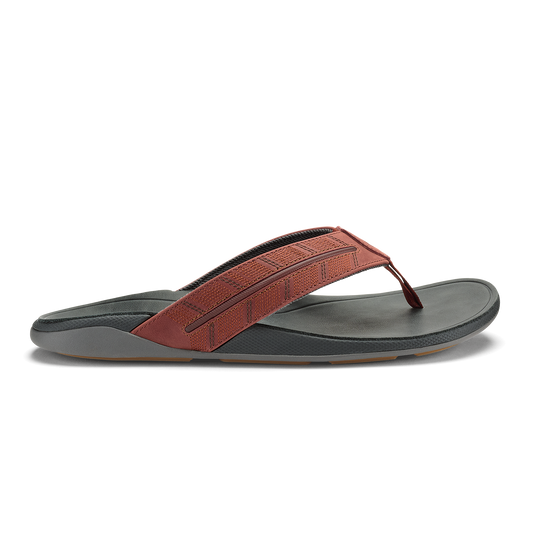 Tuahine Palm  -  Canoe / Rock